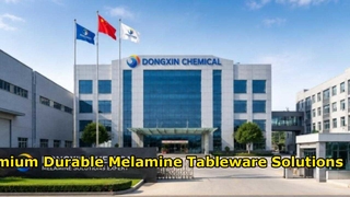 China Melamine Moulding Compound Factory | Dongxin OEM Manufacturing & Global Export
